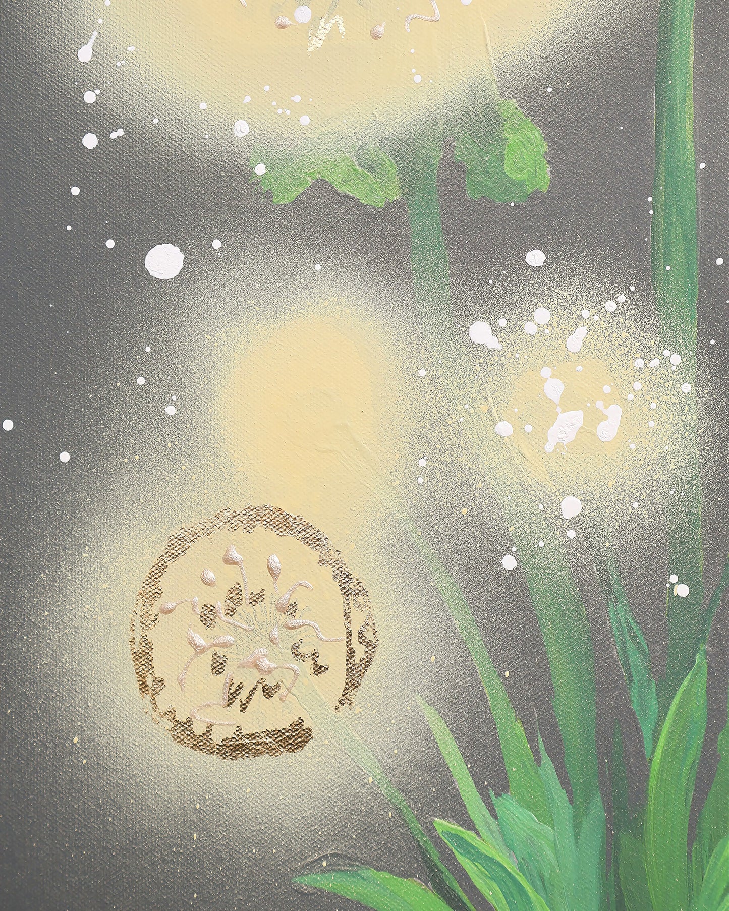 Ivory Dandelion